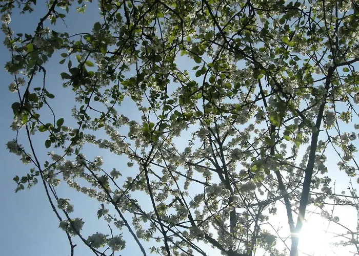 Het Groene Bed Bed & Breakfast 4*