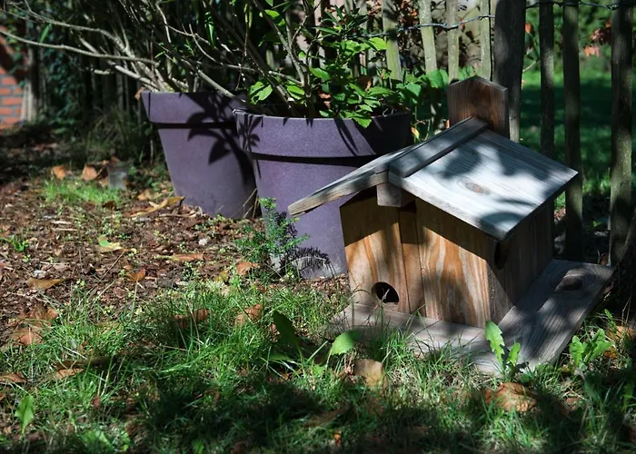 Bed & Breakfast Het Groene Bed 4*