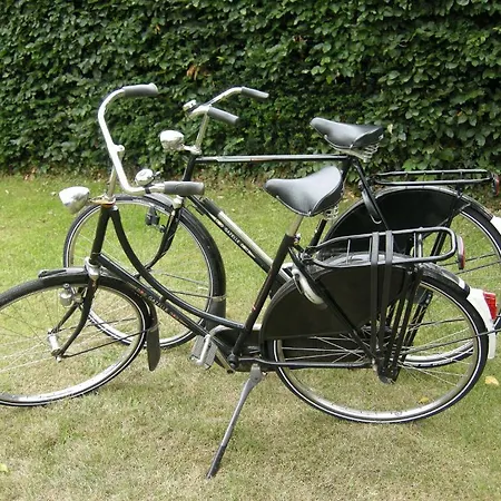Het Groene Bed