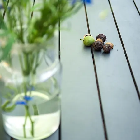 Het Groene Bed